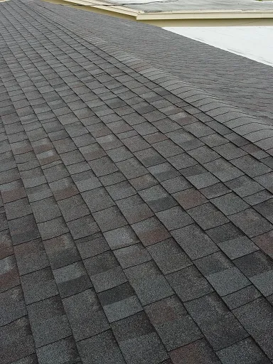 Modern Shingle Roof