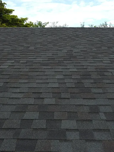 Asphalt Shingle Repair